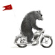 bear on motorcycle illustration